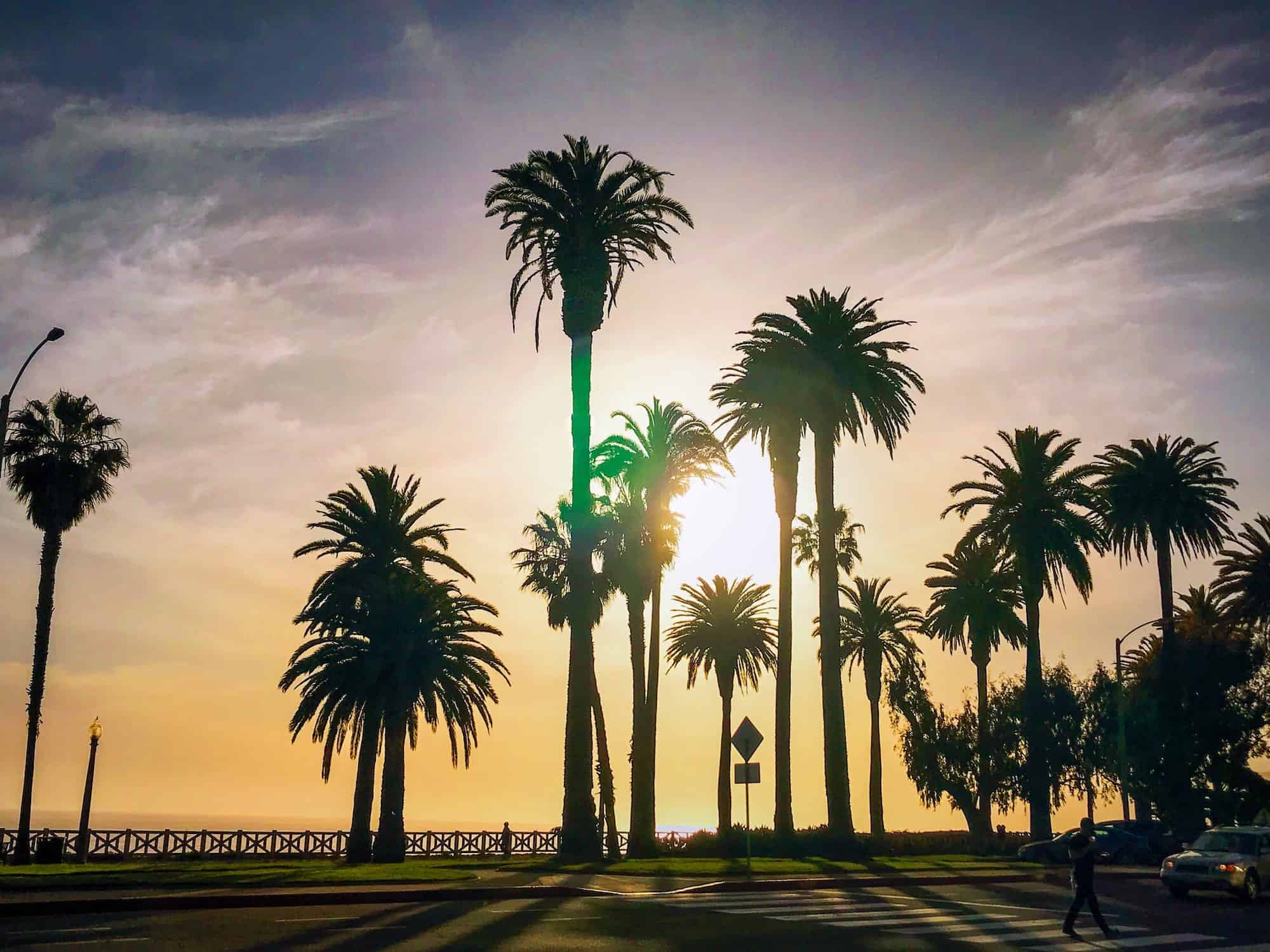 golden-hour-at-palisades-park-santa-monica.jpg